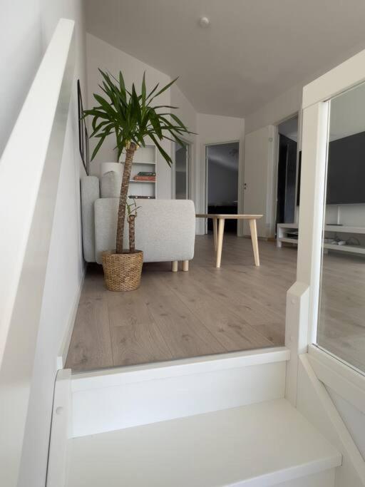 Top Floor Apartment Arossanden 5 A คริสเตียนซานด์ ภายนอก รูปภาพ